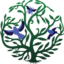 Ecoverde