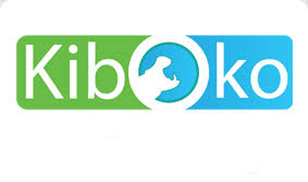 Kiboko Group 