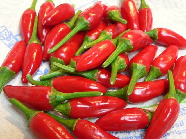 AFYA Grocery Supplies