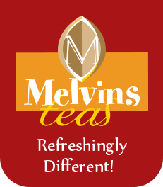 MELVIN MARSH INTERNATIONAL