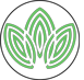 Moroccan Organic Products